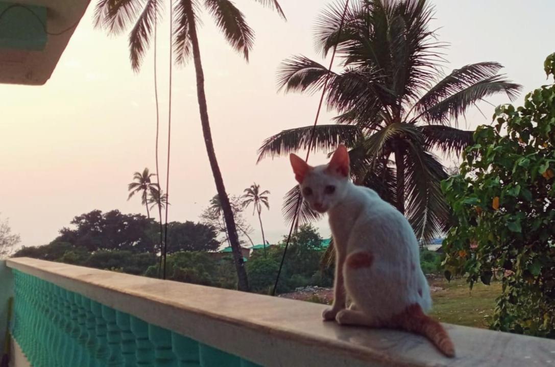 Dreamcatcher House & Hostel At Arambol Beach Luaran gambar